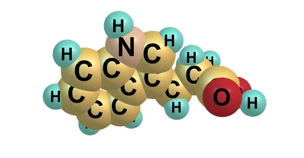 Tryptophan molekulare Struktur isoliert auf weiß — Stockfoto