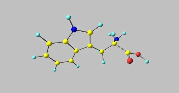 Estrutura molecular de triptofano isolada em cinza — Fotografia de Stock