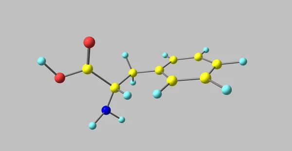 Φαινυλαλανίνη μοριακή δομή που απομονώνονται σε γκρι — Φωτογραφία Αρχείου