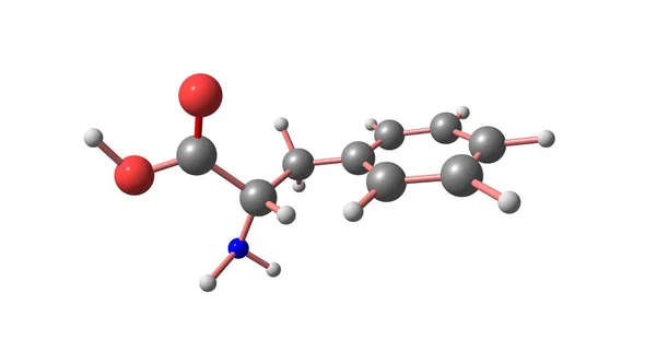 Fenylalanin molekylstruktur isolerad på vit — Stockfoto