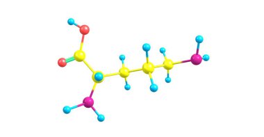 Ornitin moleküler yapısı üzerinde beyaz izole