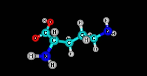Молекулярная структура орнитина изолирована на черном — стоковое фото