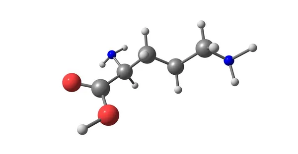 Ornitin molekylstruktur isolerad på vit — Stockfoto