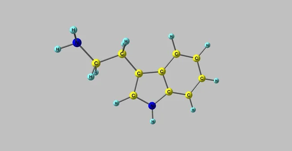 Estrutura molecular da triptamina isolada em cinzento — Fotografia de Stock