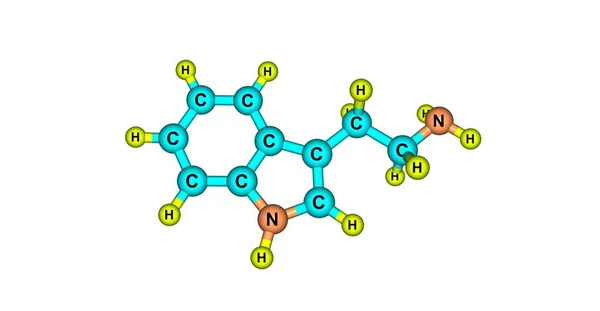 Molekularna struktura tryptaminy na białym tle — Zdjęcie stockowe
