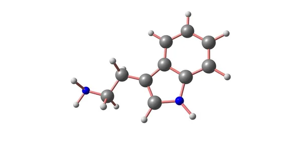 Τρυπταμίνης μοριακή δομή που απομονώνονται σε λευκό — Φωτογραφία Αρχείου