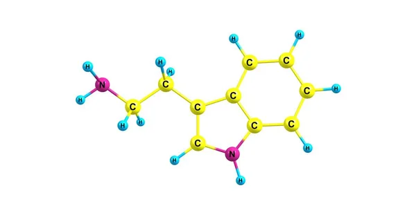 흰색 절연 tryptamine 분자 구조 — 스톡 사진