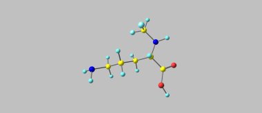 Gri izole Eflornitin moleküler yapısı