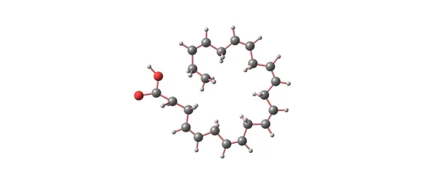 Estructura molecular del ácido docosahexaenoico aislada en blanco —  Fotos de Stock