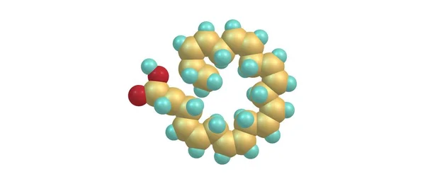 Dokosahexaenová kyselina molekulární struktura izolované na bílém — Stock fotografie