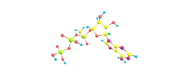 Молекулярная структура трифосфата аденозина изолирована на белом — стоковое фото