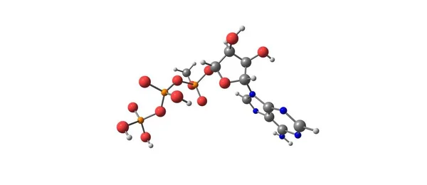 Молекулярная структура трифосфата аденозина изолирована на белом — стоковое фото