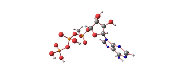 Аденозинтрифосфатна молекулярна структура ізольована на білому — стокове фото