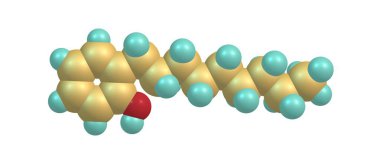 Nonylphenol moleküler yapısı üzerinde beyaz izole