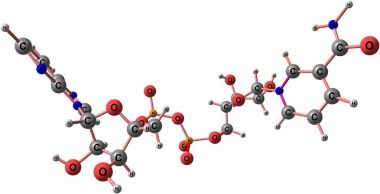 Nicotinamide adenine dinucleotide molecular structure isolated on white clipart