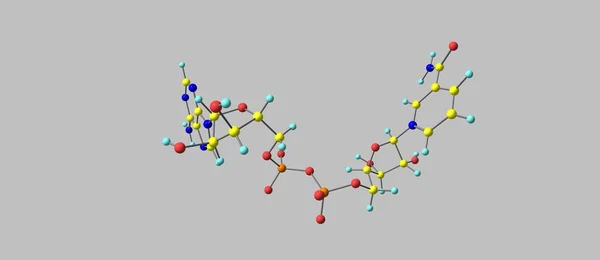니코틴아미드 아데닌 디뉴클레오티드 분자 구조 회색에 고립 — 스톡 사진