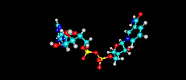 黒に分離されたニコチン酸アミドアデニンジヌクレオチド分子構造 — ストック写真