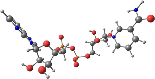 Nikotinamid adenin dinükleotit moleküler yapısı üzerinde beyaz izole — Stok fotoğraf