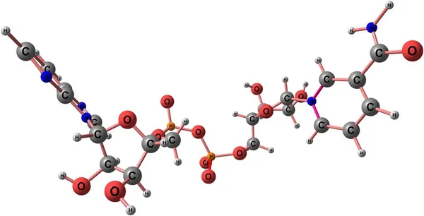 Nicotinamida adenina dinucleótido estructura molecular aislada en blanco — Foto de Stock
