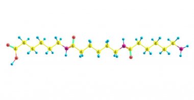 Beyaz arka plan üzerinde izole naylon moleküler yapısı