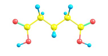Glutarik asit moleküler yapısı üzerinde beyaz izole