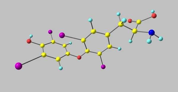 Structure moléculaire de la lévothyroxine isolée sur gris — Photo