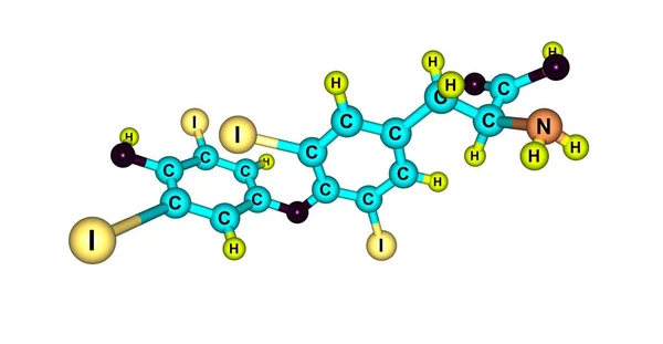 Moleculaire structuur levothyroxine geïsoleerd op wit — Stockfoto