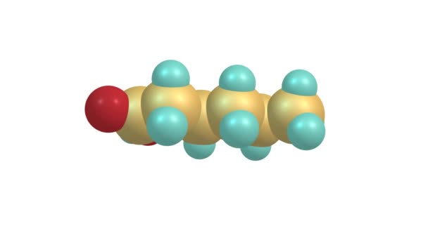 Rotierendes Isoliertes Hexansäuremolekül Video — Stockvideo