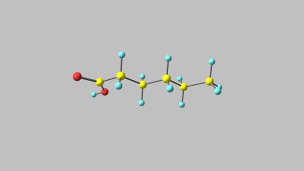 Roterande Isolerad Hexansyra Molekyl Video — Stockvideo