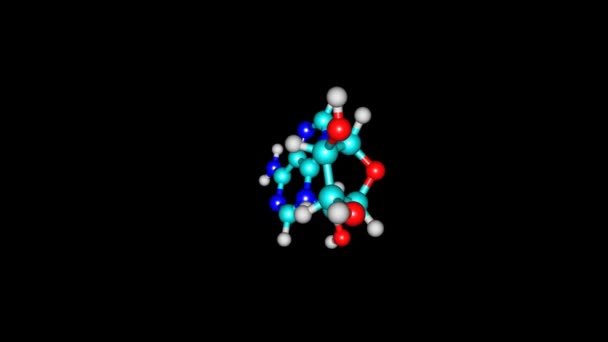 Rotación Aislada Adenosina Molécula Vídeo — Vídeos de Stock