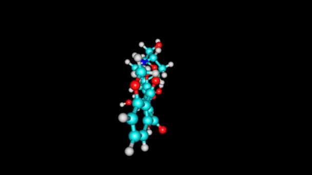 Περιστρεφόμενη Μοριακή Δομή Του Φαρμάκου Επιρουβικίνης — Αρχείο Βίντεο