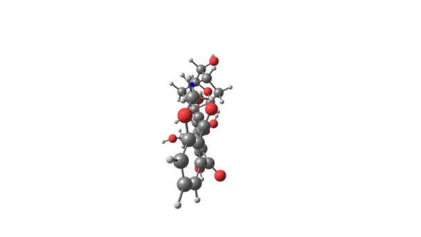 Structure Moléculaire Rotative Médicament Épirubicine — Video