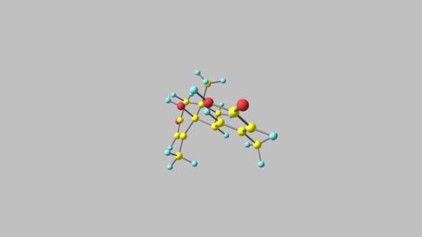 Abscistic Acid Molecule Rotující Video Plné — Stock video