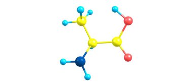 Alanine, plazma içerisindeki serbest durumunda yüksek seviyelerde bulunan zaruri olmayan bir amino asittir. 3d illüstrasyon