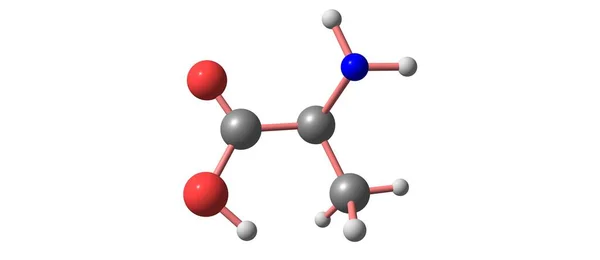 丙氨酸是一种非必需的氨基酸 其在血浆中的游离状态很高 3D说明 — 图库照片