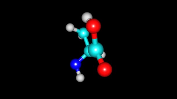 Alanine Molecule Rotating Video Full — 비디오