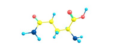 Glutamin ya da Gln, proteinlerin biyosentezinde kullanılan bir amino asittir. 3d illüstrasyon
