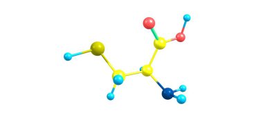 Sistemin yarıönemli bir proteojenik amino asittir. 3d illüstrasyon