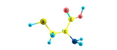 Sistemin yarıönemli bir proteojenik amino asittir. 3d illüstrasyon