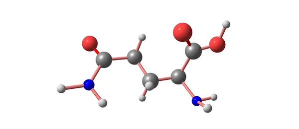 Glutamina Gln Aminoácido Que Usado Biossíntese Proteínas Ilustração — Fotografia de Stock