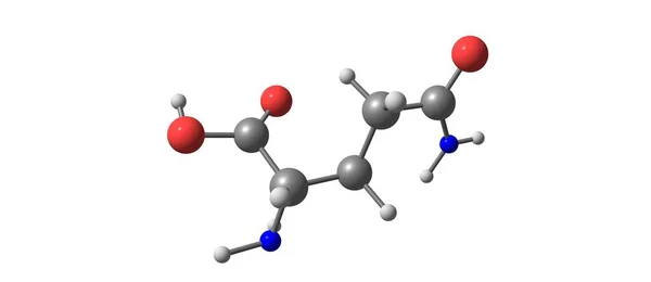 Glutamine Gln Een Aminozuur Dat Wordt Gebruikt Biosynthese Van Eiwitten — Stockfoto