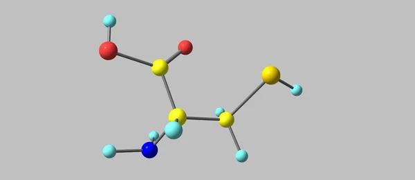 システインは 半必須タンパク質のアミノ酸である 3Dイラスト — ストック写真