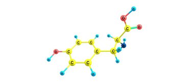 Tyrosine veya Tyr veya 4-hydroxyphenylalanine proteinleri sentezlemek için hücreler tarafından kullanılan 20 standart amino asitten biridir. 3d illüstrasyon