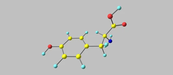 Tyrosine Veya Tyr Veya Hydroxyphenylalanine Proteinleri Sentezlemek Için Hücreler Tarafından — Stok fotoğraf