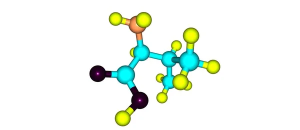 Valine Val Acide Aminé Utilisé Dans Biosynthèse Des Protéines Illustration — Photo