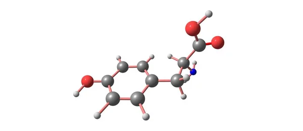 チロシンまたはチロシンまたは4ヒドロキシフェニルアラニンは 細胞がタンパク質を合成するために使用する20の標準的なアミノ酸の1つである 3Dイラスト — ストック写真
