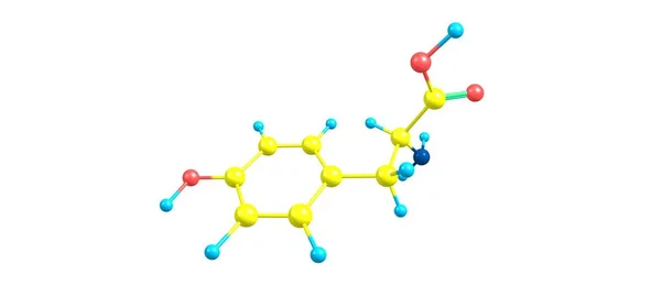 Tyrosin Oder Tyr Oder Hydroxyphenylalanin Ist Eine Der Standard Aminosäuren — Stockfoto