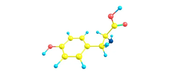 티로신 Tyr Hydroxyphenylalanine 세포가 단백질을 합성하는 사용하는 아미노산 가운데 — 스톡 사진