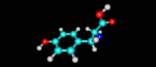 Tyrosine Tyr Hydroxyfenylalanine Een Van Standaard Aminozuren Die Door Cellen — Stockfoto