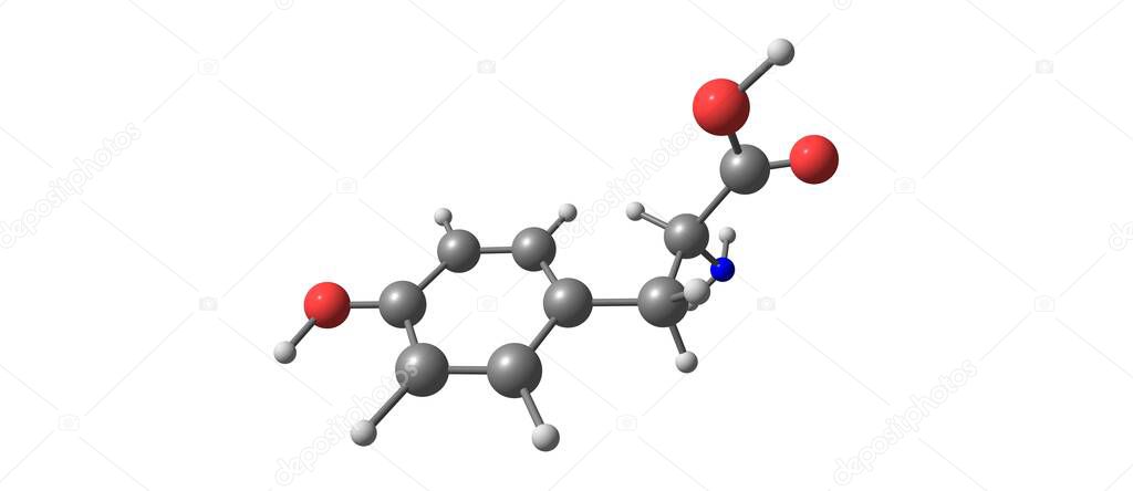 Tyrosine or Tyr or 4-hydroxyphenylalanine is one of the 20 standard amino acids that are used by cells to synthesize proteins. 3d illustration